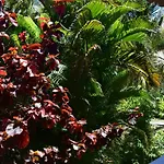Jardin Sur Mer