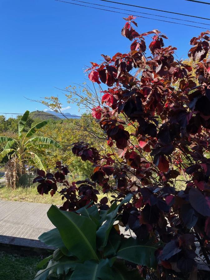 Jardin Sur Terre-De-Haut