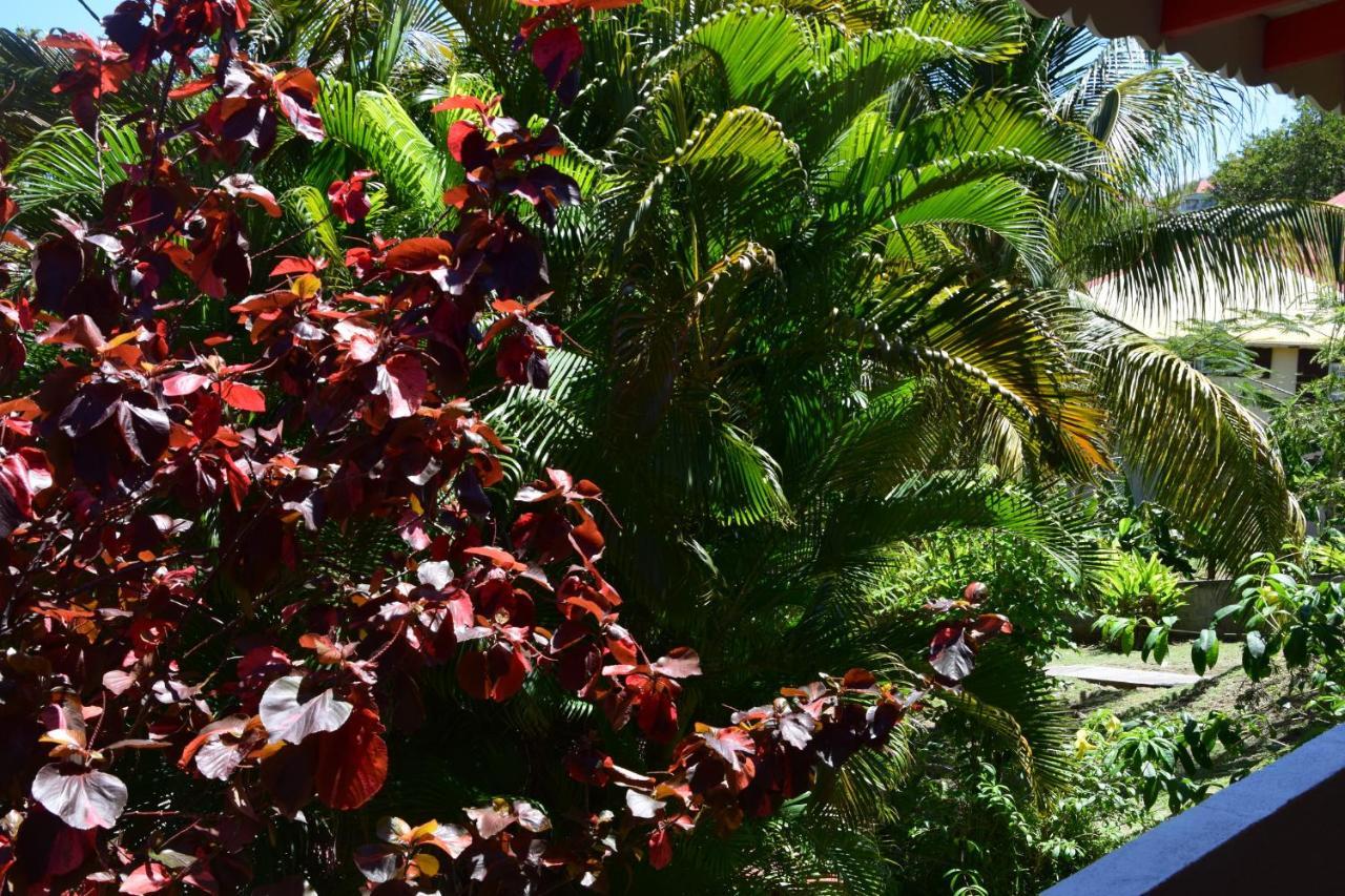 Jardin Sur