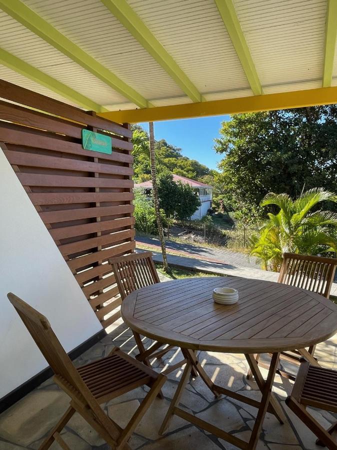 Jardin Sur * Terre-De-Haut