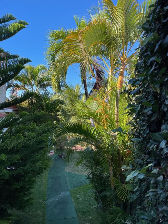 Apartment Jardin Sur *