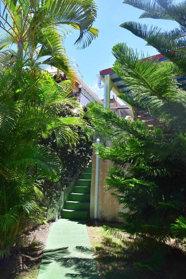 Jardin Sur Apartment